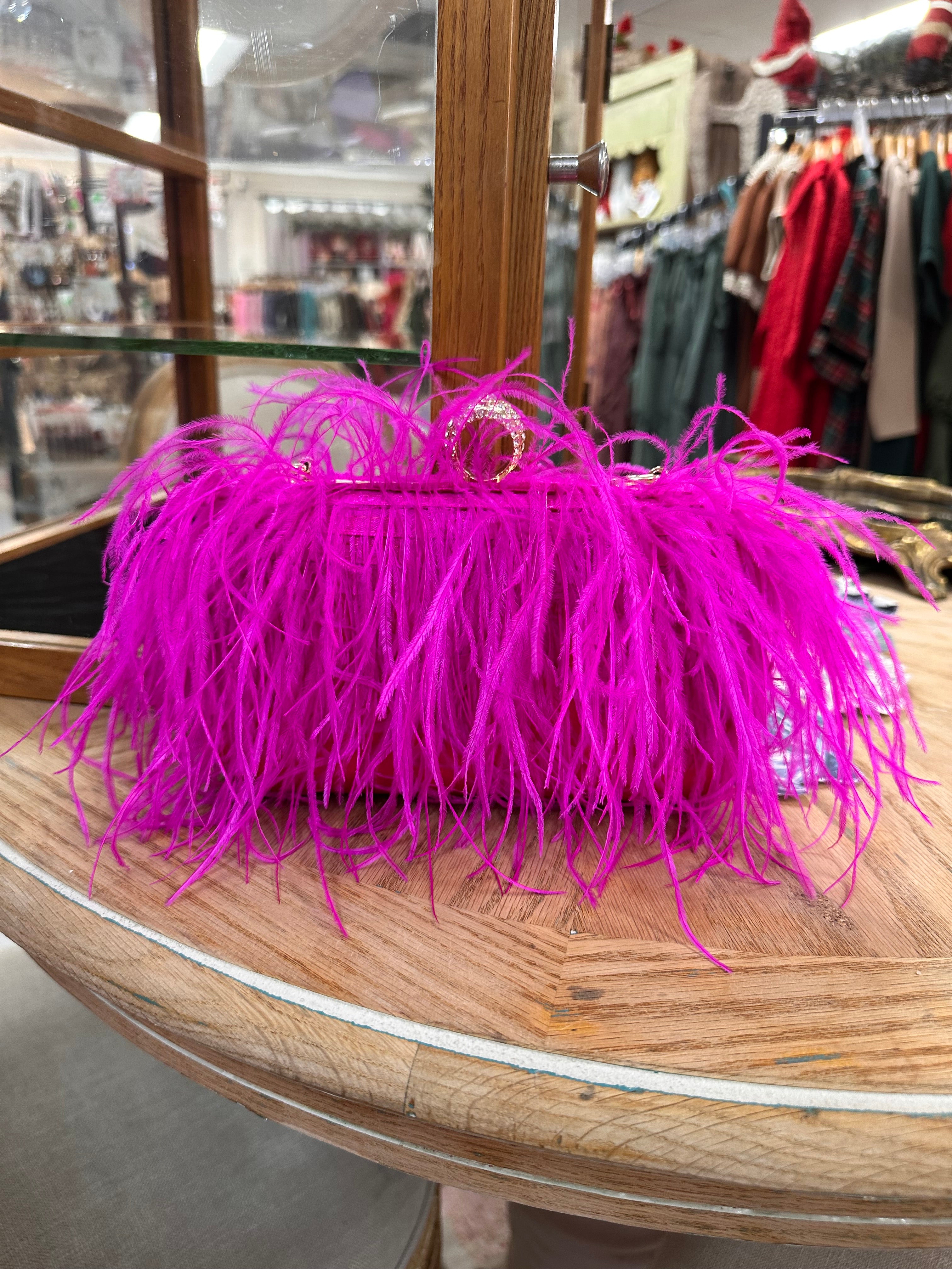 Feather Evening Clutch