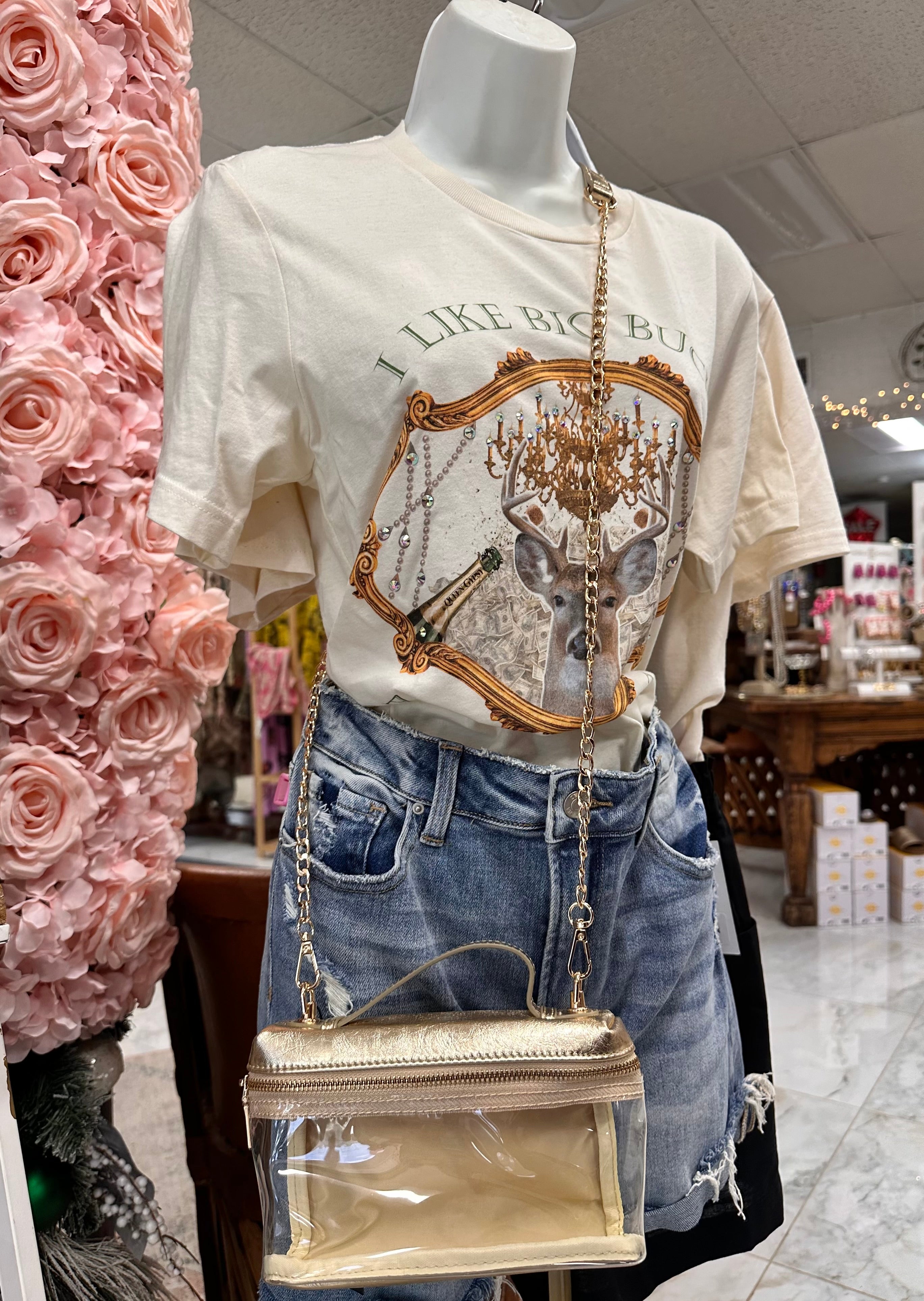 Clear Bag Mini