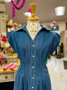 Rory Denim Dress