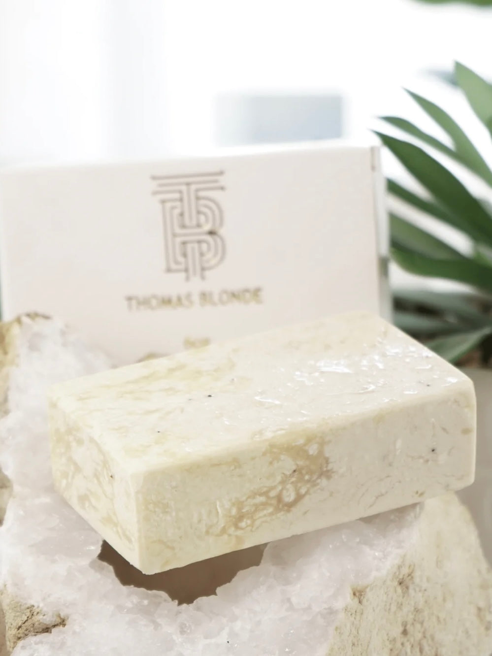 Exfoliating Moisture Bar Joshua Tree