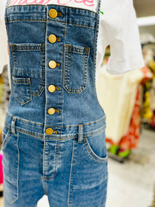 Benjamin Denim Overalls