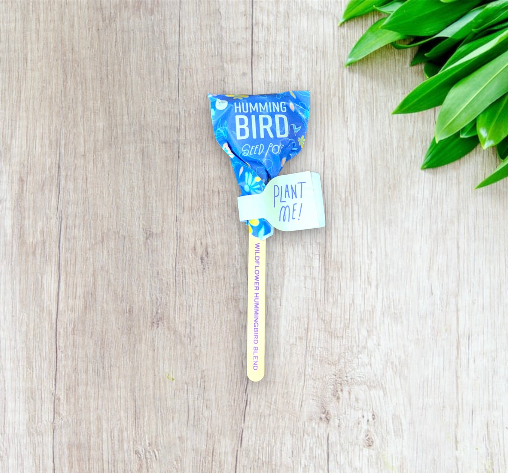 Pollinator Seed Pops